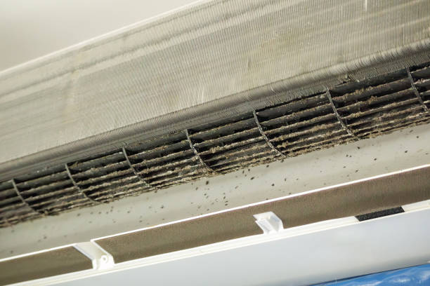 Best Air Vent Cleaning Services  in Brentwood, PA